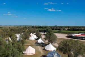 Mariage en plein air dans une manade en Camargue